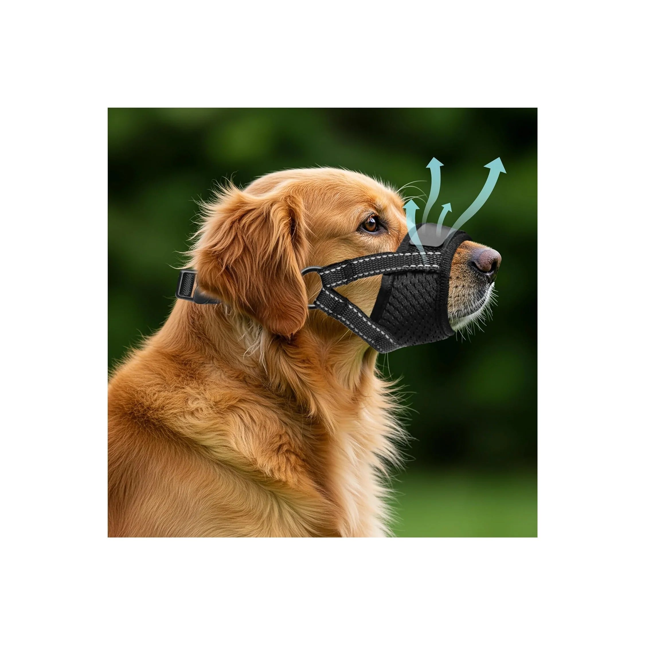 Dog Muzzle for Large Dogs - Soft Breathable Muzzle for Large Sized Dog with Air Mesh | Adjustable Mussels for Dogs Grooming | Muzzles to Prevent Biting Barking Chewing Allows Panting Drinking